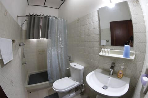 Deluxe Double Room | Bathroom | Free toiletries, bidet, towels, soap