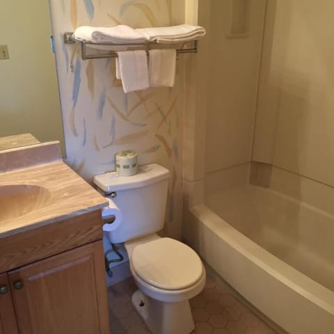 Combined shower/tub, hair dryer, towels