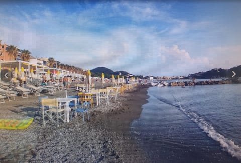 Private beach, black sand, sun loungers, beach umbrellas