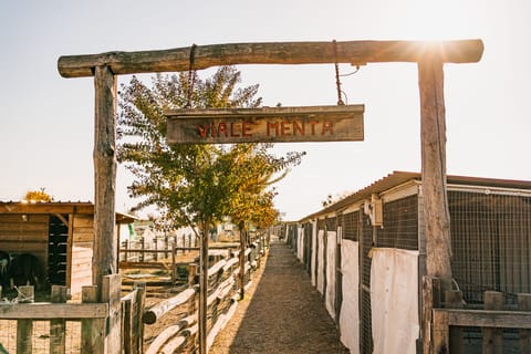 Children's activities