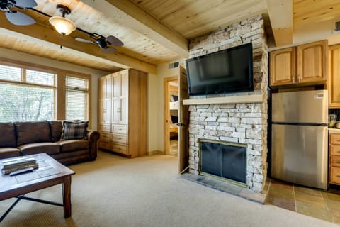 TV, fireplace, books