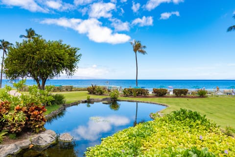 Beach/ocean view