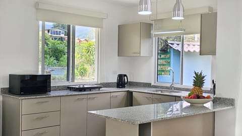 Deluxe Studio Suite | Private kitchenette | Fridge, microwave, stovetop, electric kettle