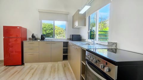 Family Suite | Private kitchen | Fridge, microwave, stovetop, electric kettle