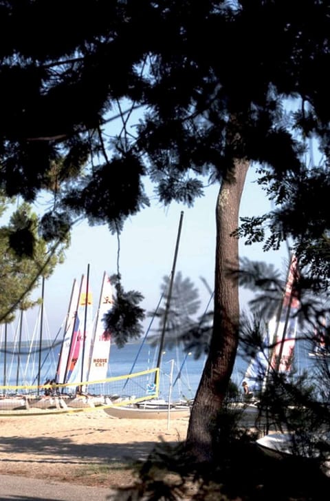 Beach nearby, windsurfing