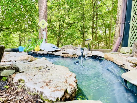 Jacuzzi Hot Tub Room | View from room