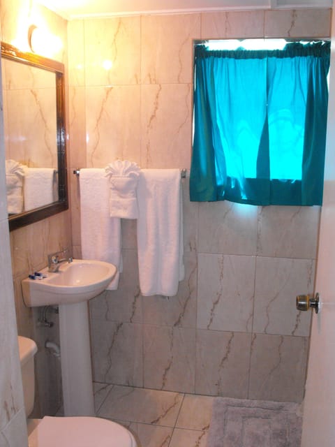 Combined shower/tub, hair dryer, towels