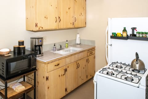 Full-size fridge, microwave, oven, stovetop