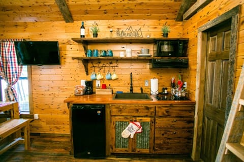 Classic Cabin, Multiple Beds, Lake View | Private kitchenette | Microwave, coffee/tea maker, electric kettle, toaster