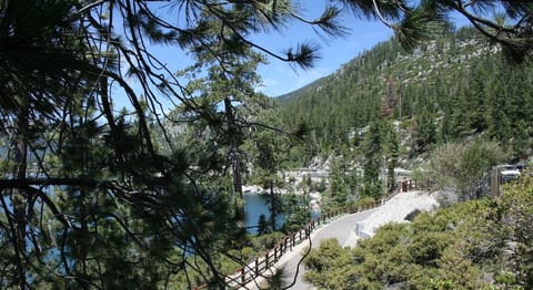 Condo, 1 Bedroom | Miscellaneous