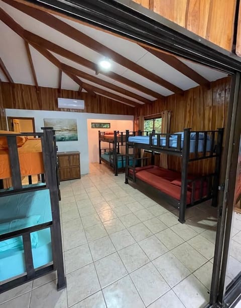 Standard Shared Dormitory | Individually decorated, individually furnished, desk, free WiFi