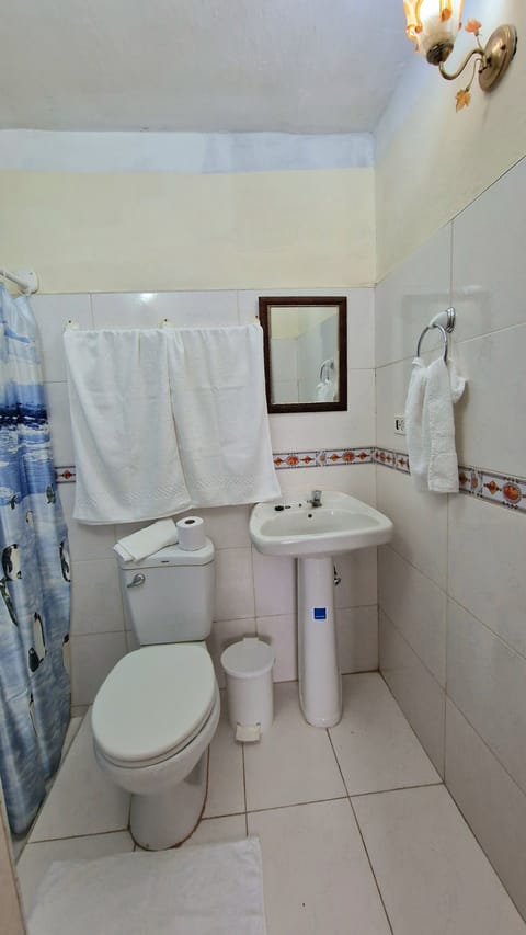 Exclusive Room | Bathroom | Shower, rainfall showerhead, hair dryer, towels