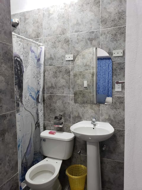 Deluxe Triple Room | Bathroom | Shower, rainfall showerhead, towels, shampoo