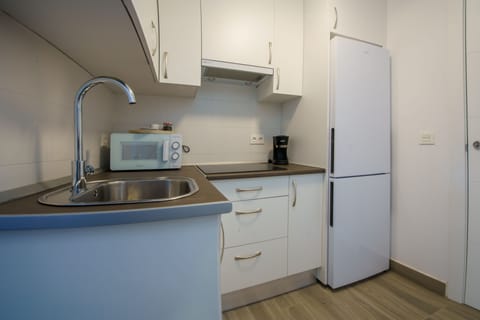 Royal Apartment | Private kitchen | Full-size fridge, microwave, stovetop, coffee/tea maker