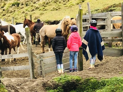 Horseback riding