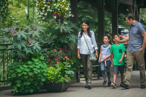 Condo, 1 Bedroom | Property grounds