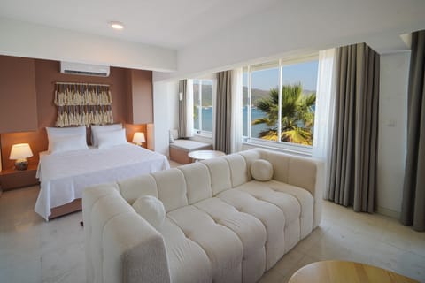 Luxury Room | View from room