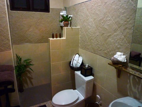 Superior Room with Garden view | Bathroom | Shower, free toiletries, hair dryer, towels