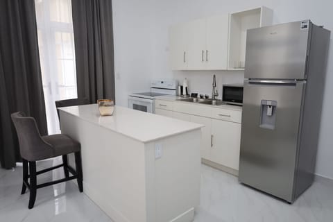 Luxury Apartment | Private kitchen | Fridge, microwave, oven, coffee/tea maker