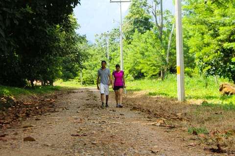 Hiking