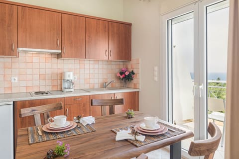 Deluxe Apartment | Private kitchen | Fridge, microwave, oven, stovetop