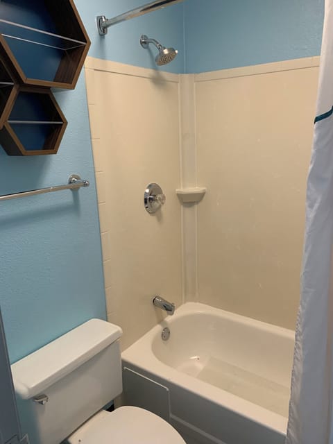 Combined shower/tub, hair dryer, towels, toilet paper