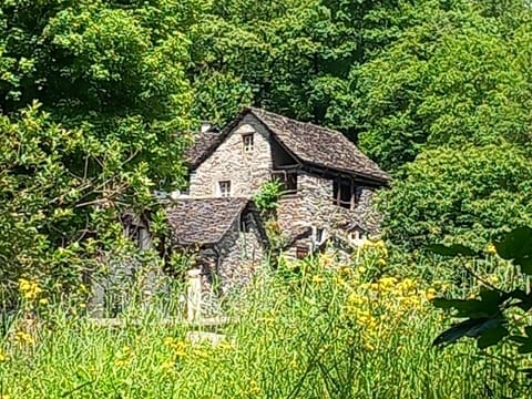 Room, 1 Bedroom, Balcony, Mountain View | Exterior