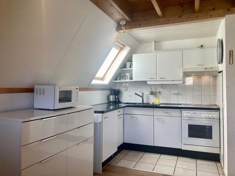 Bungalow, 3 Bedrooms, Terrace, Garden View | Private kitchen