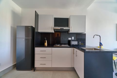 Premium Apartment | Private kitchen | Full-size fridge, microwave, stovetop, dishwasher