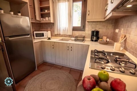 Luxury Villa | Private kitchen | Full-size fridge, oven, dishwasher, electric kettle