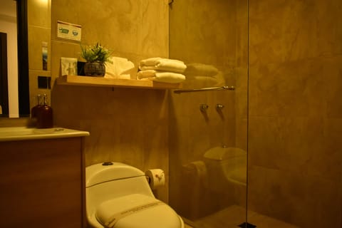 Economy Double Room | Bathroom | Shower, rainfall showerhead, free toiletries, hair dryer