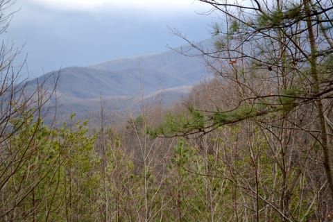 Sweetheart Cabin, 1 Bedroom, Jetted Heart-shaped Tub, Outdoor Hot Tub, Mountain View | Exterior