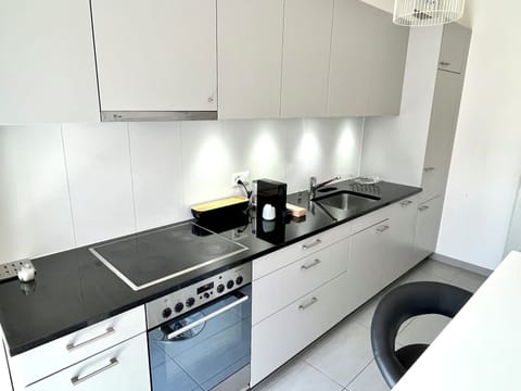 Apartment | Private kitchen | Full-size fridge, microwave, oven, stovetop