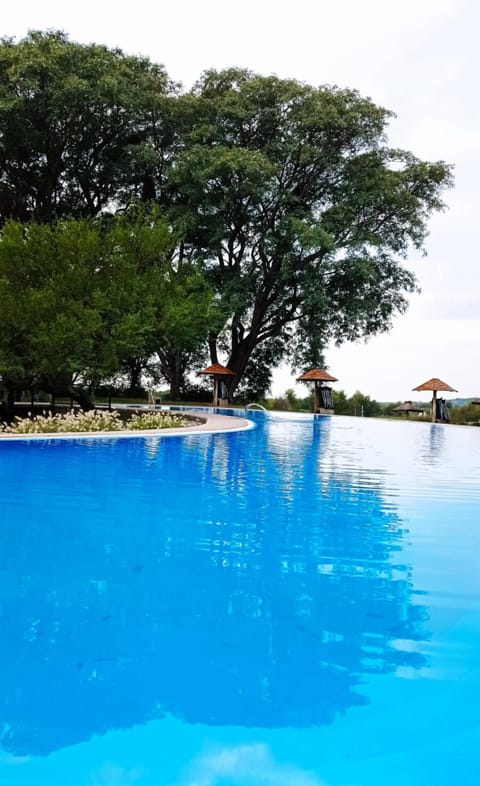 Outdoor pool, pool umbrellas, sun loungers