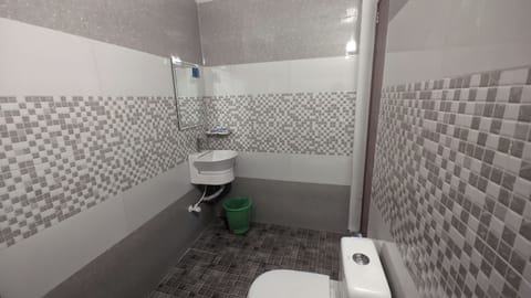 Deluxe Room | Bathroom | Shower, free toiletries, hair dryer, bidet