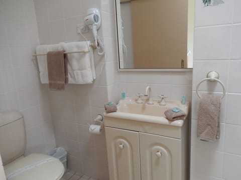 Family Room | Bathroom | Shower, free toiletries, hair dryer, towels