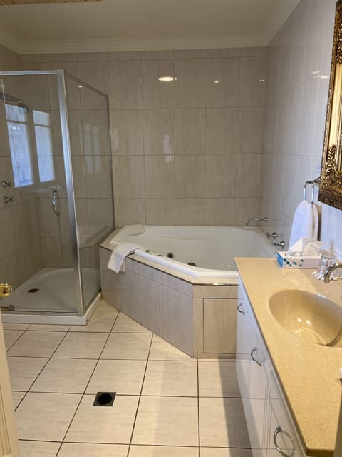 Deluxe Suite | Bathroom | Separate tub and shower, jetted tub, hair dryer, towels