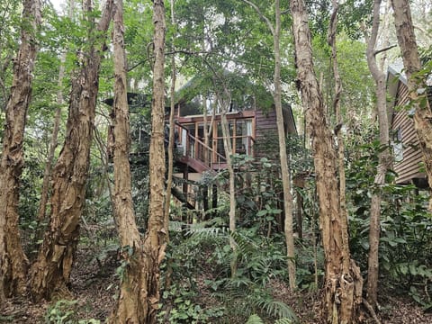 Tree House, 1 Queen Bed | Premium bedding, soundproofing, iron/ironing board, free WiFi