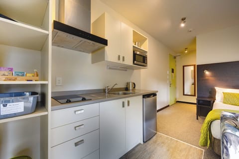 Studio (Queen Studio) | Private kitchen | Mini-fridge, microwave, stovetop, electric kettle