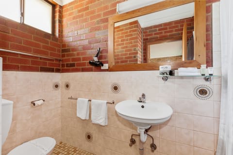 Standard Room, Non Smoking (King and Single room) | Bathroom | Shower, free toiletries, hair dryer, towels