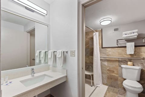 Standard Room, 1 King Bed, Accessible, Non Smoking | Accessible bathroom