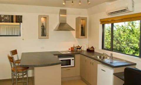 Luxury Spa Studio | Private kitchen | Fridge, microwave, stovetop, coffee/tea maker