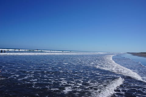 Beach nearby, black sand