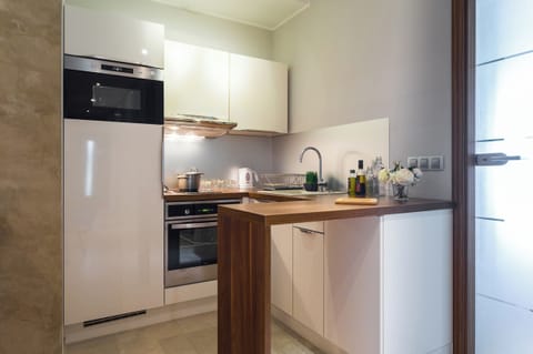 Classic Apartment | Private kitchen | Mini-fridge, microwave, oven, stovetop