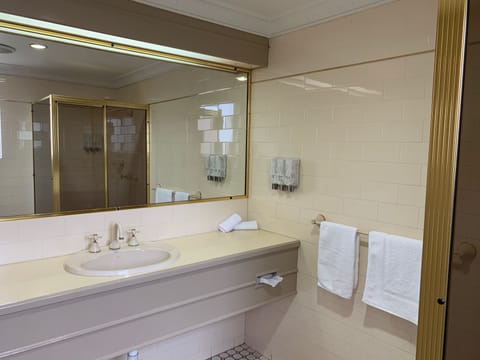 Standard Twin Room | Bathroom | Shower, hair dryer, towels