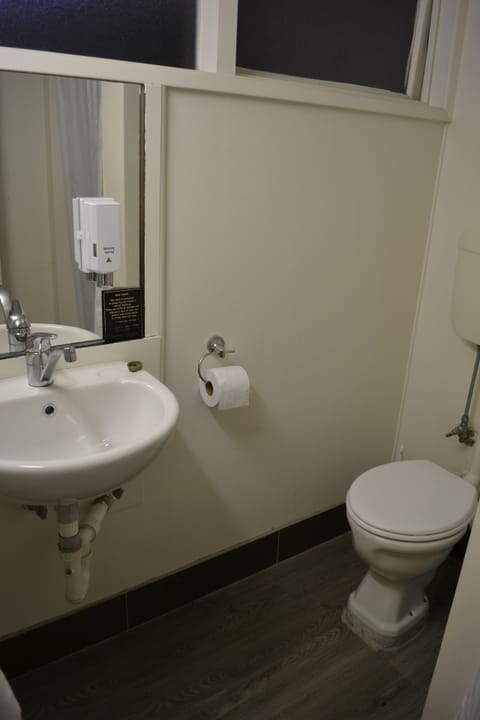 Queen Room - Pet Friendly | Bathroom | Shower, free toiletries, hair dryer, towels