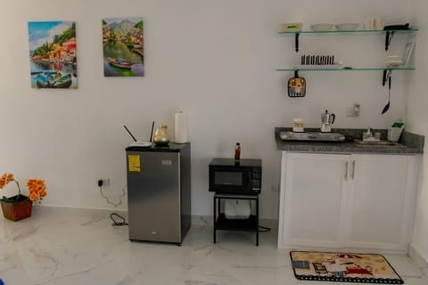 Mini-fridge, microwave, espresso maker, toaster