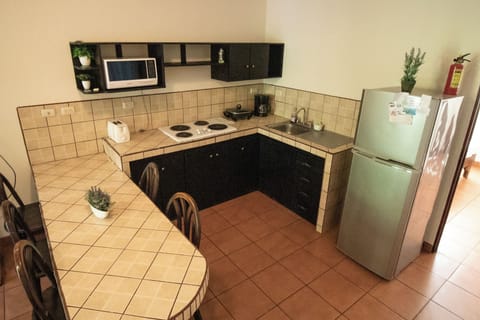 Superior Apartment | Private kitchen | Full-size fridge, microwave, stovetop, coffee/tea maker