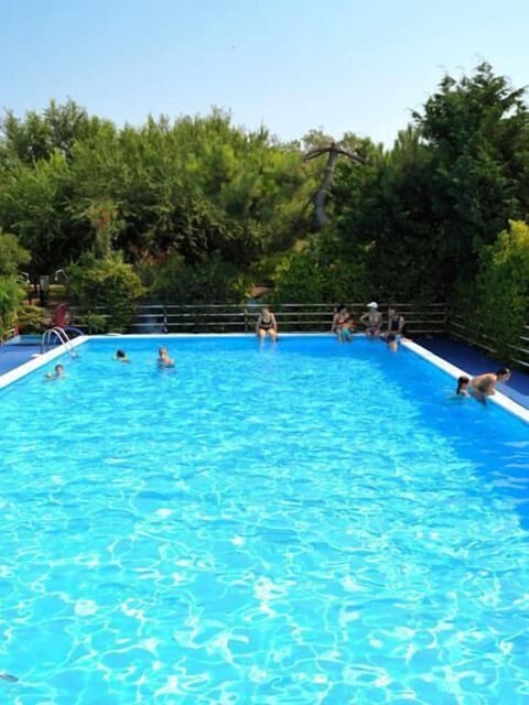 Seasonal outdoor pool, sun loungers