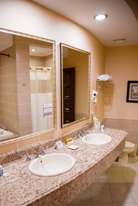 Executive Suite | Bathroom | Free toiletries, hair dryer, towels, soap